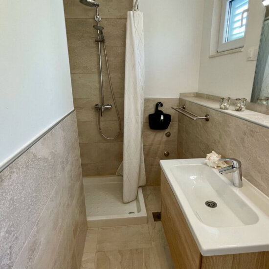 Modern bathroom with shower and sink